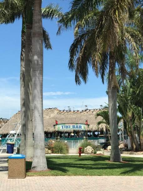 Exterior of Tiki Bar with palm trees