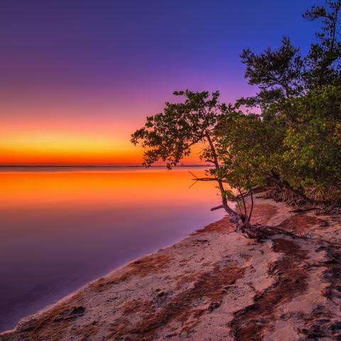 River shoreline with sunset