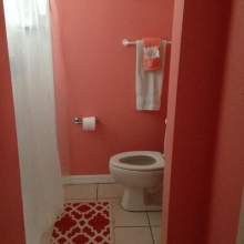 Bathroom - coral colored walls, shower with curtain, toilet