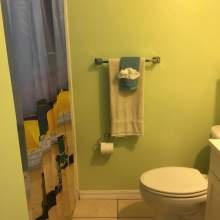 Bathroom - light green walls, seahorse decor, shower with curtain, toilet